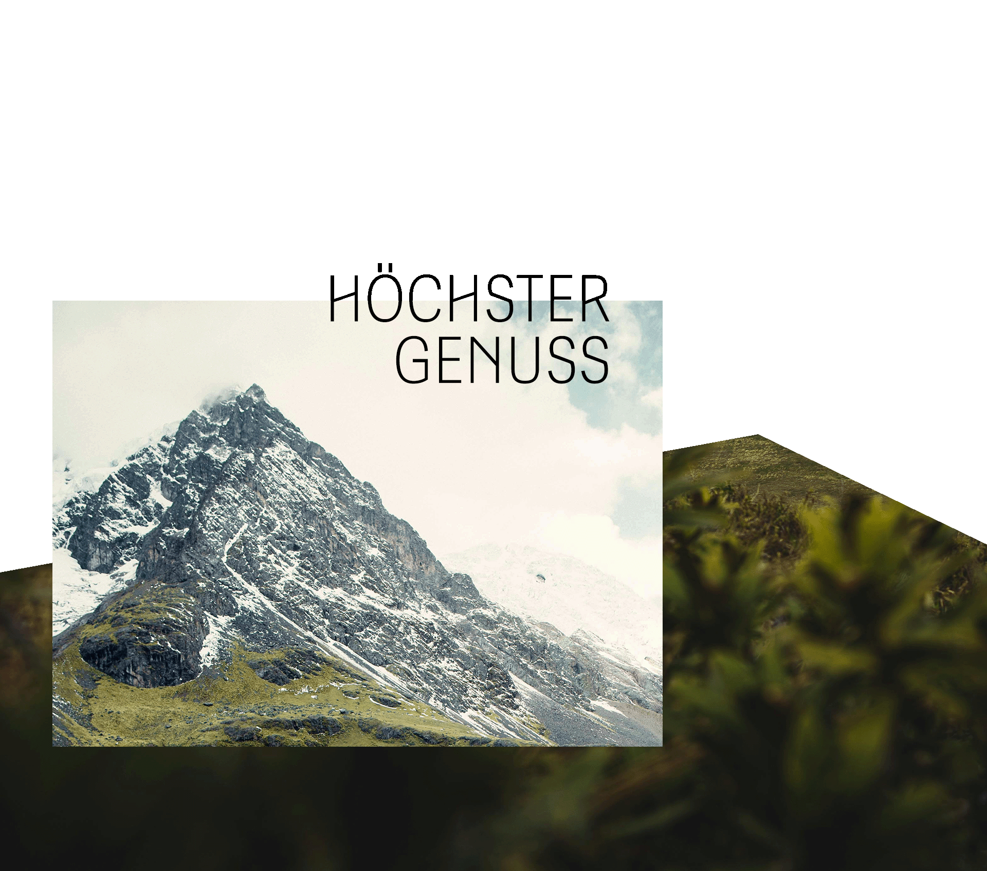 Höchster Genuss