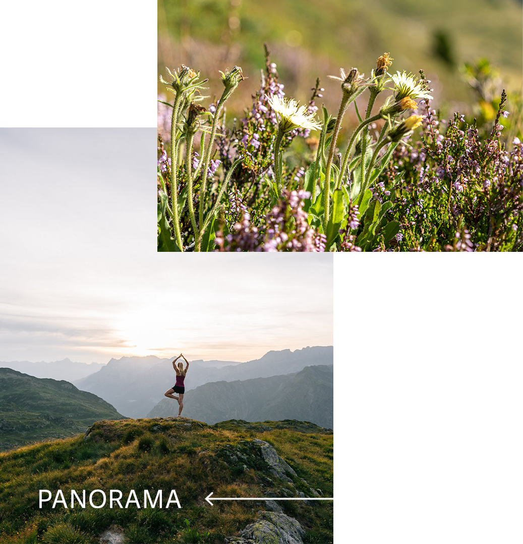 Panorama / Close Up