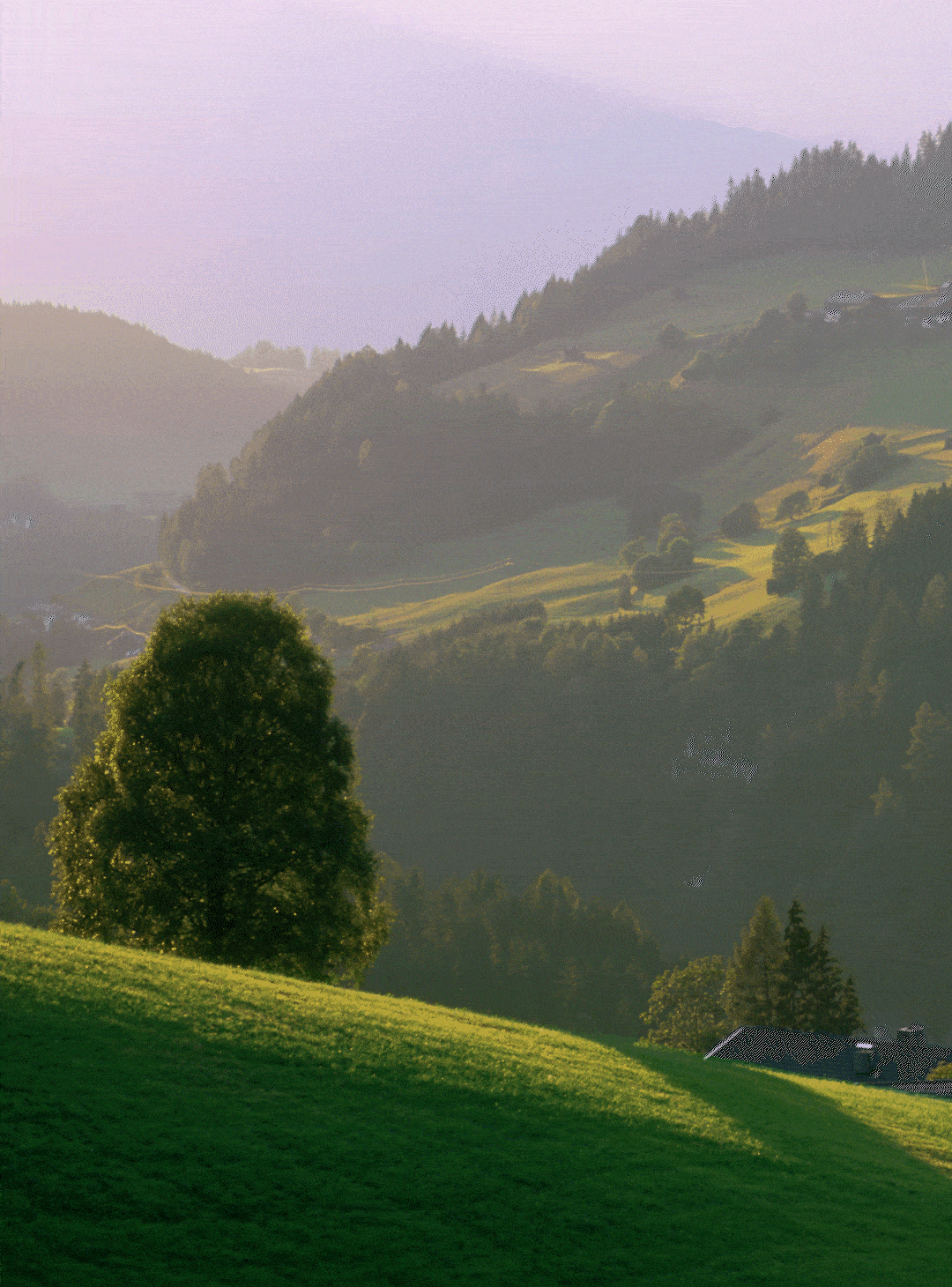 NORDEN Projekt: Alpbachtal