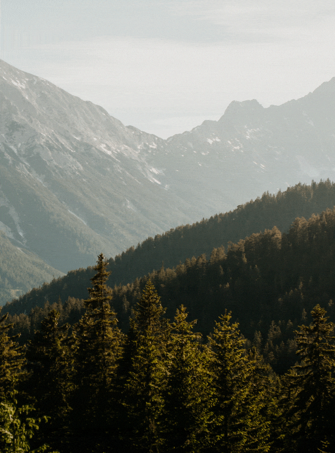 NORDEN Projekt: Tirols Hochplateau