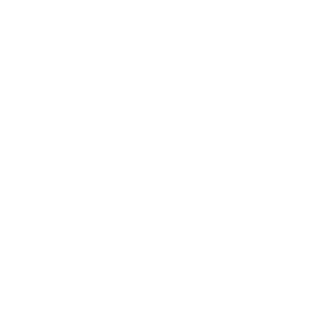 Electric Mountain Festival GIF